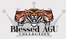 Blessed Agu Collections